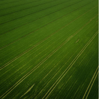 overhead photo of field