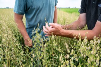 bulk grass seed suppliers - Millborn Seeds