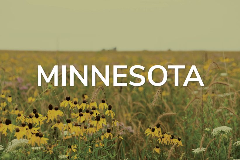 MN CRP CRP Seed Mix for Minnesota Renovo Seed