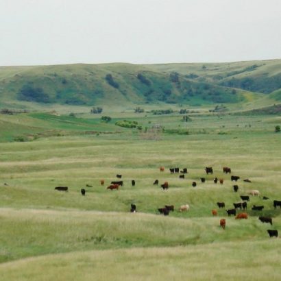 Rancher Encourages Utilizing Cost Share Programs