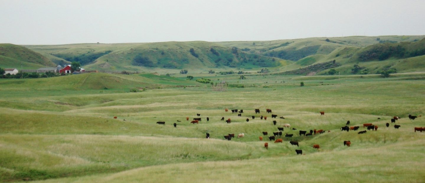 ranch landscape