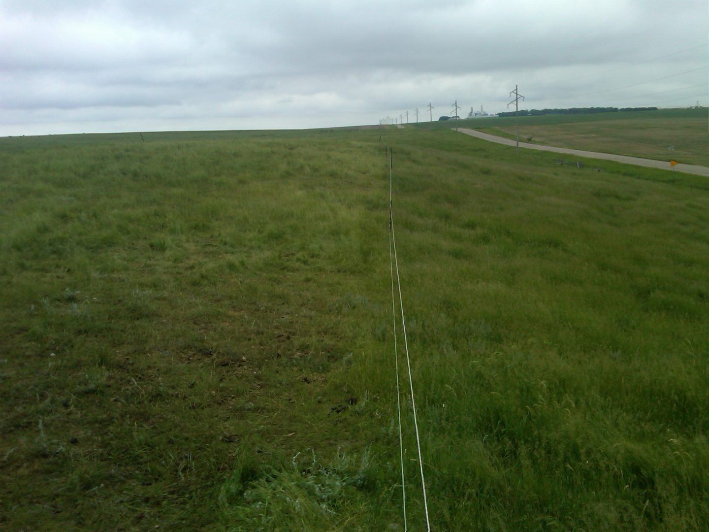 field along road