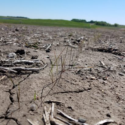 Planning for Your CRP Acres