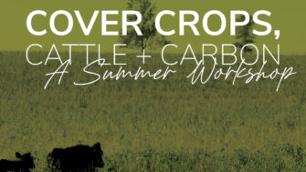 Cover Crops, Cattle + Carbon Summer Workshop