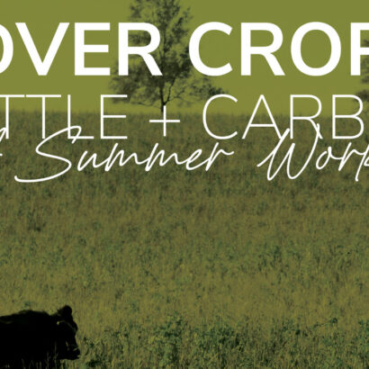 Cover Crops, Cattle + Carbon Summer Workshop