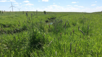 Reseeding Pothole Acres for More Forage Opportunity