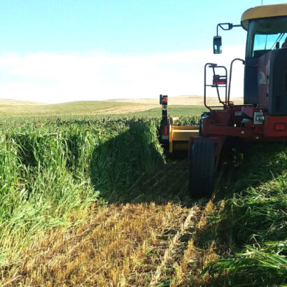 Three Factors to Consider for Next Year’s Forage Plan