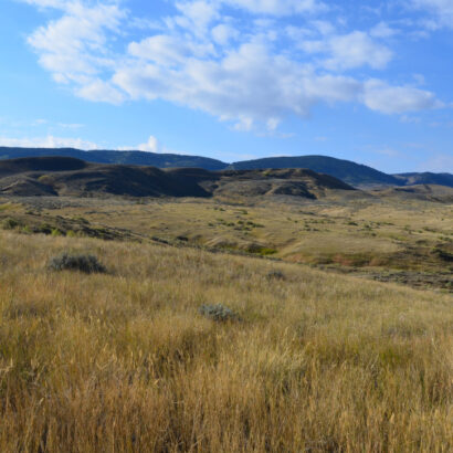 What are rangelands, anyway?