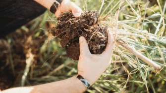 Applying the principles of soil health to an annual grazing plan