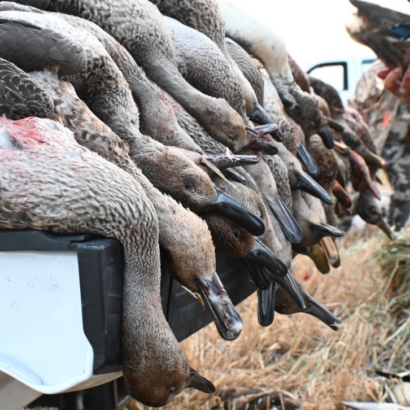 Planning for Waterfowl Season