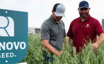 bulk grass seed suppliers - Millborn Seeds